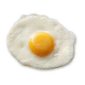 single-egg